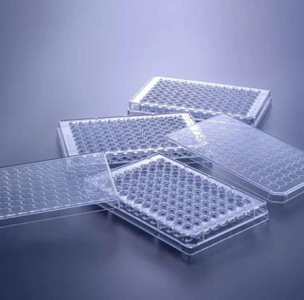 cell culture plate