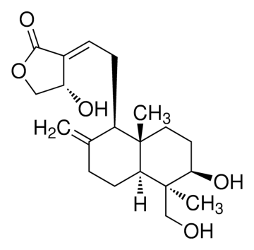 Natural 98% Andrographis Paniculata Extract Andrographolide
