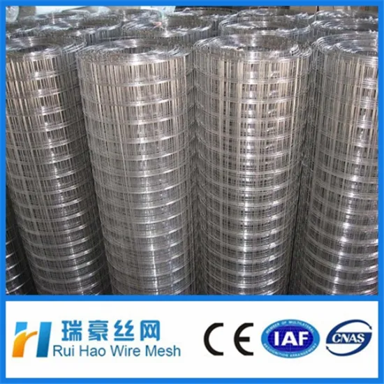 2x2 welded wire mesh