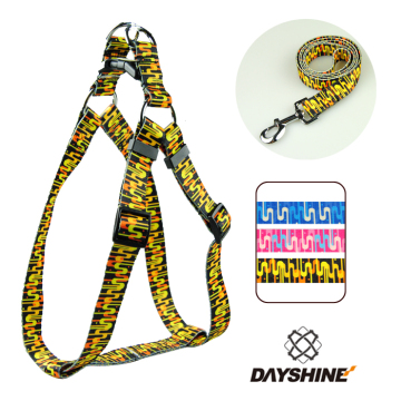 Dog Leash Set for Pet