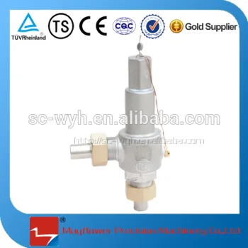 pressure cryogenic safety valve relief valve