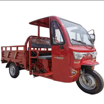 Electric Customized Cabin Cargo Tricycle Motorcycle with Waterproof Passenger Seat