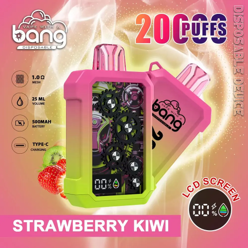 Wholesales Bang 20000Puffs Eshisha Mesh coil Disposable Vape