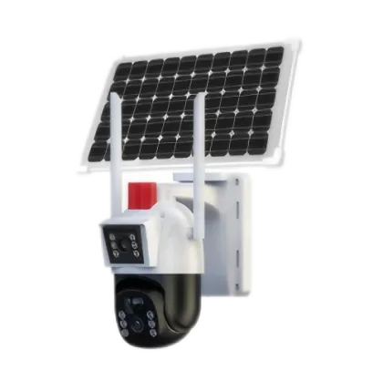Dual eye solar monitoring camera