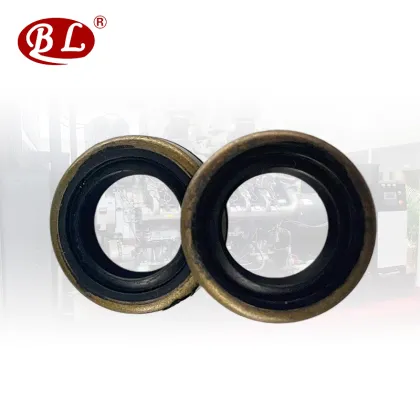 Iron Shell Oil Seal Search Engine