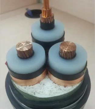 Fluoroplastics insulated electrical power cable