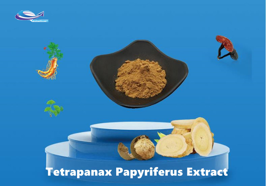 tetrapanax papyrifer extract buy