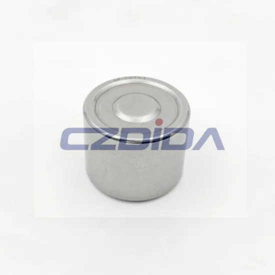 25.4x31.75x25.4mm High Quality Full Complement Needle Roller Bearing - M-16161