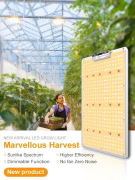 Economical Fruits Growth LED Light