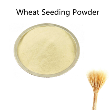 Buy online active ingredients price Wheat Seeding Powder