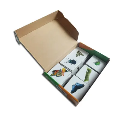 Cardboard Flash Match Cards Game