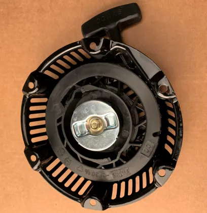 Briggs & Stratton Rewind Starter 841729