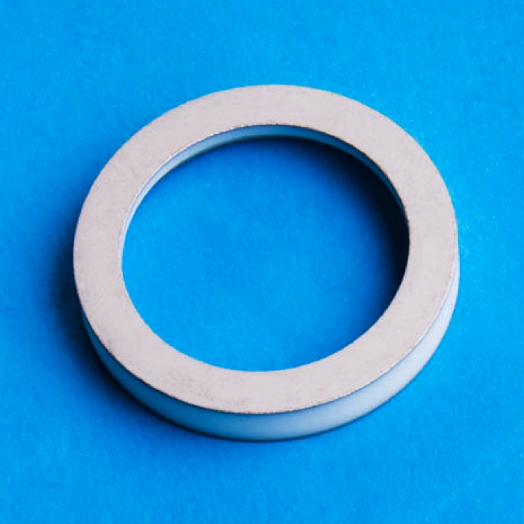 High Precision Metallized Aluminum Oxide Ceramic Ring