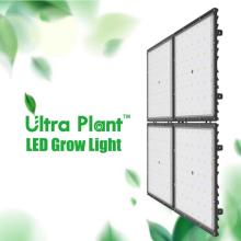 Luzes LED para plantas reguláveis ​​de 300 watts