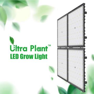 Luzes LED para plantas reguláveis ​​de 300 watts