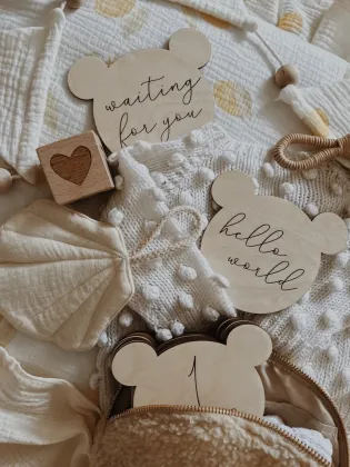 Teddy Bear Milestones: Hello World Baby Meilensteinkarten for First Year Photos