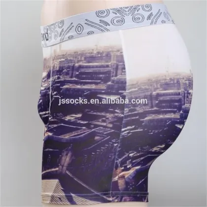 Transparent Mens Sexy Funny Underwear Briefs for Men