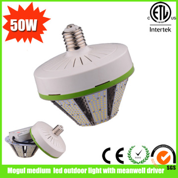 Mogul Medium LED Outdoor Light with Meanwell Driver (BBHYD-M50W8S)