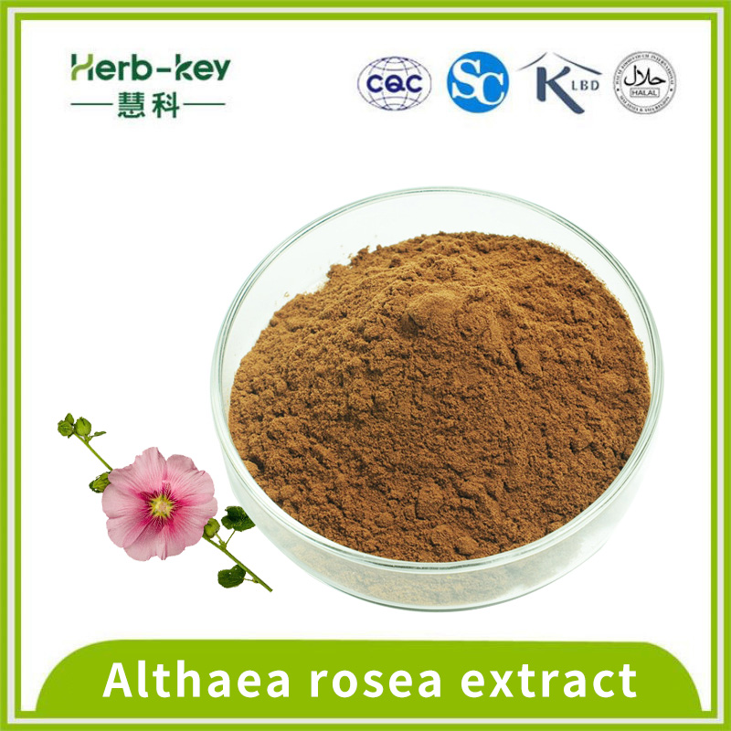 Compuestos de flavonoides 10: 1 Extracto de Althaea rosea