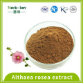 Соединения флавоноидов 10: 1 экстракт althaea rosea