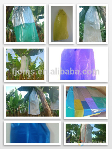 Plastic banana cover bags for fruit tree cultivation