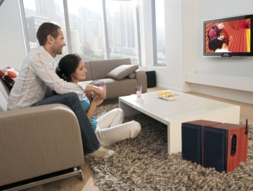 Wireless Bookshelf Stereo Speaker (2.4GHz, 2.0 channel, 50W)