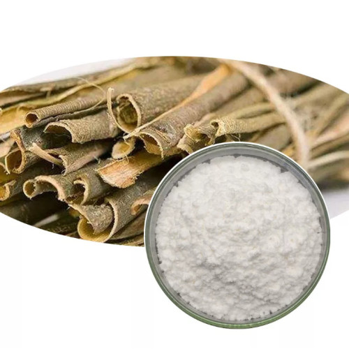 Lower Price Sedum Rosea Extract Wholesale White Willow Bark Extract Salicin50% Supplier