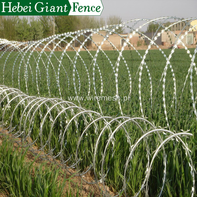 Hot Dipped Security Fencing Razor Barbed Wire Fence