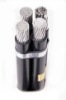3 Aac Xlpe Insulated + Bare Aac Abc Power Cable Astm Standard 