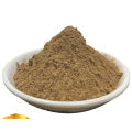 Herb Ginkgo Biloba Extract Powder With Special Price