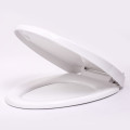 Electronic Bidet Water Jet Smart Toilet Seat Cover