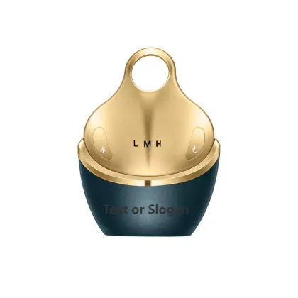 Face Home Use Beauty Skincare Physical Therapy Equipment