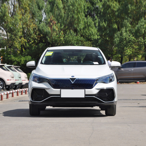 Dongfeng Nissan Venucia D60EV 2023 Plus