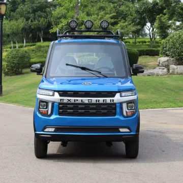 Small Car Adult Electric Pickup Truck 2-Seater Fully Enclosed New Electric Pickup Truck