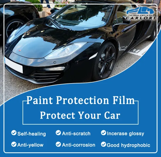 cost of ppf and ceramic coating