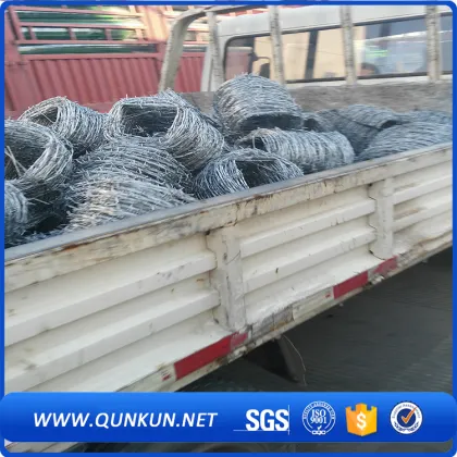 anti-theft galvanize barbed wire mesh