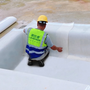 High Density Polyethylene Self-adhesive Waterproof Membrane" could be suitably titled for a search engine as:

"HDPE Self-adhesive Waterproof Membrane