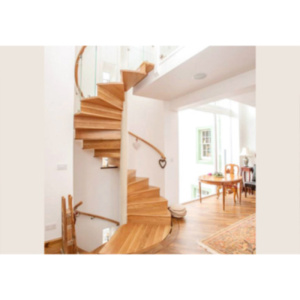 Spiral Stairs Staircase Treads Residential Villa Carbon