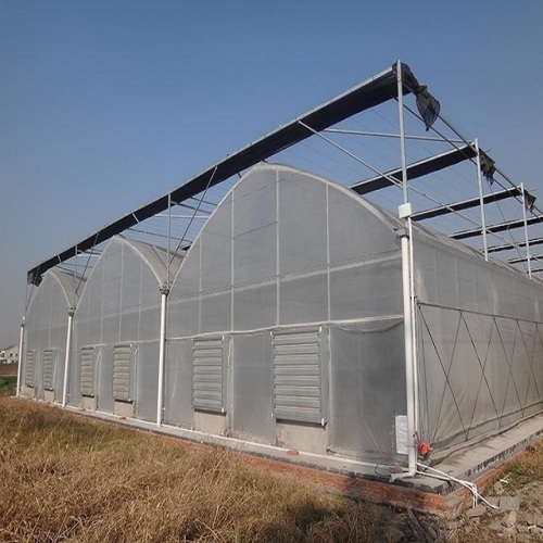 Tunnel Plástico Film Greenhouse para o cultivo de vegetais