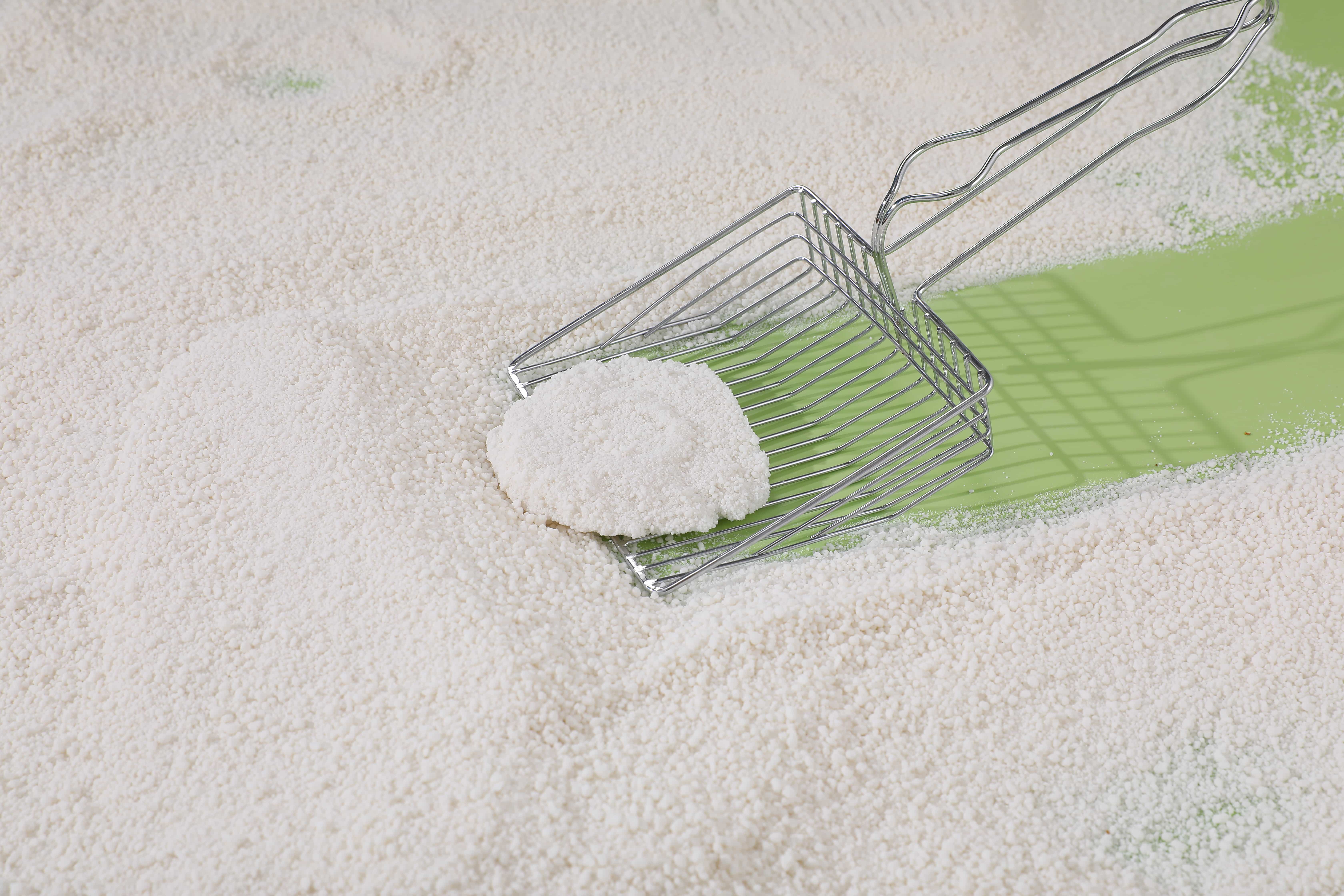 cat litter