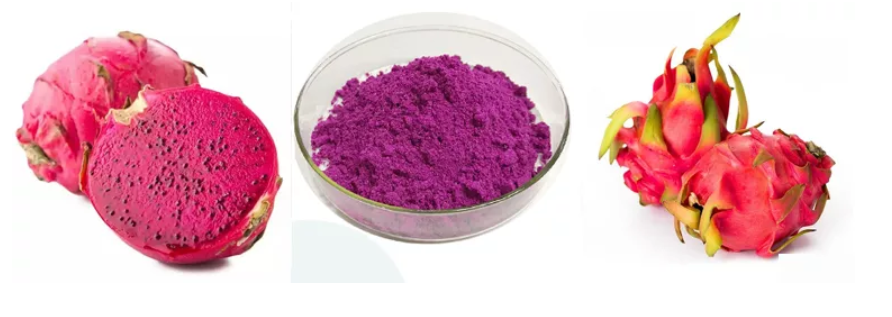 Congelamento seco vermelho Pitya Powder/Dragon Fruit Powder