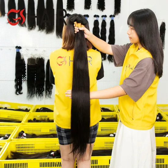 Wholesale Raw Vietnam Hair Bundles: Double Drawn Virgin Cuticle Aligned Human Hair Extensions at Affordable Prices