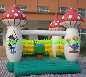 Inflatable Bouncer