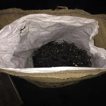 Electro galvanized common nails