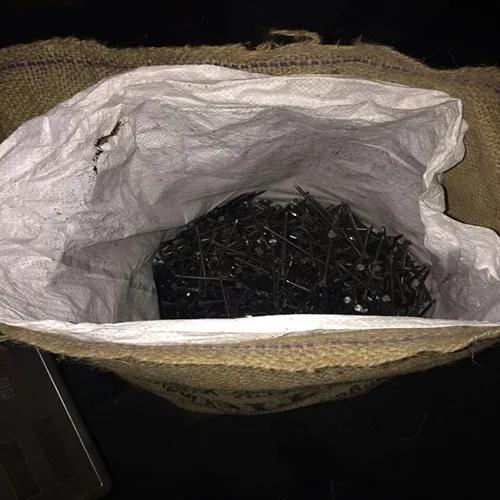 Electro galvanized common nails