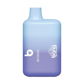 Wholesale High Quality Price Bang 5000 Puffs