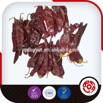 High Quality Philippines Red Paprika