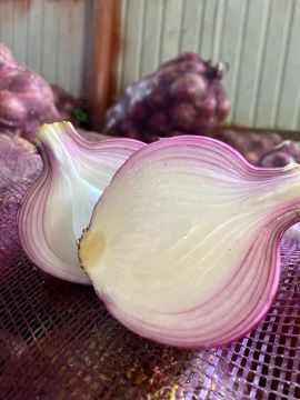 High Quality Crisp Sweet Red Onion