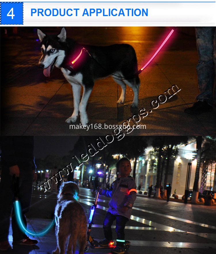 Usb Rechargeable Dog Leash