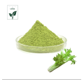 Celery Extract Powder of Celery Extract Powder